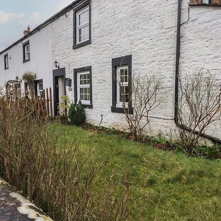 Ash Tree Brampton (Cumbria)